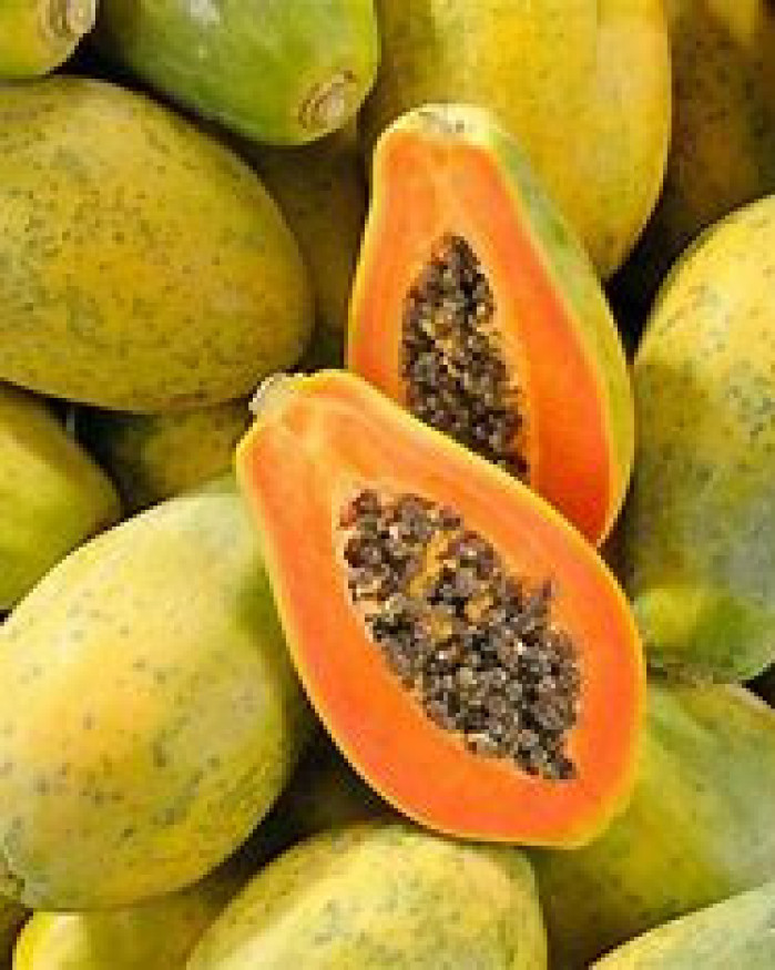 Papaye grosse Formose