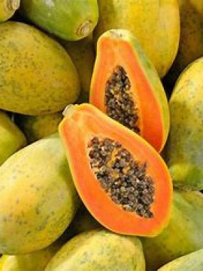 Papaye grosse Formose