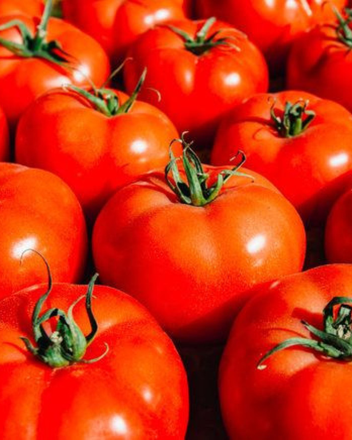 tomate Marmande promo