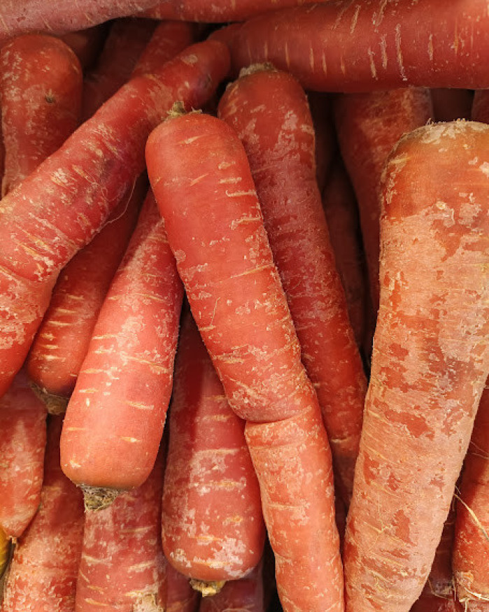 carotte rouge