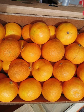 clémentine petit calibre PROMO le colis de 6KG / 8€