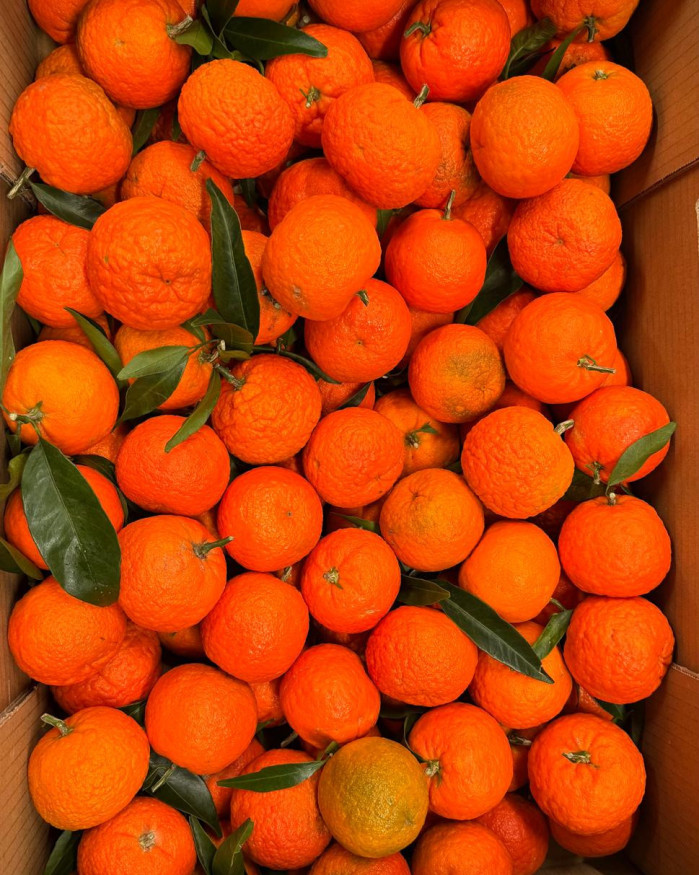 Clémentine de  Corse IGP