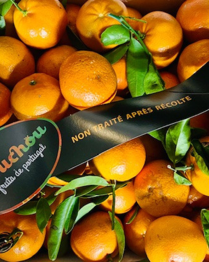 clémentine petite à feuilles du Portugal  2 KILOS 6€