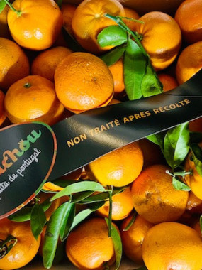 clémentine petite à feuilles du Portugal  2 KILOS 6€