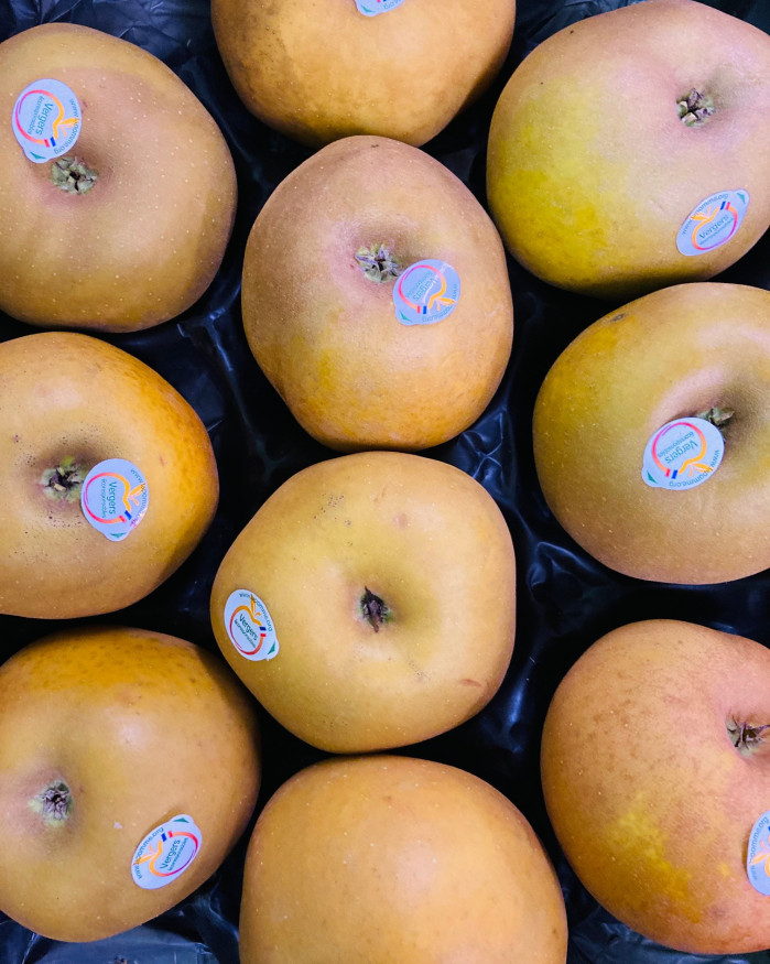 POMME canada grise 2 kilos 6€