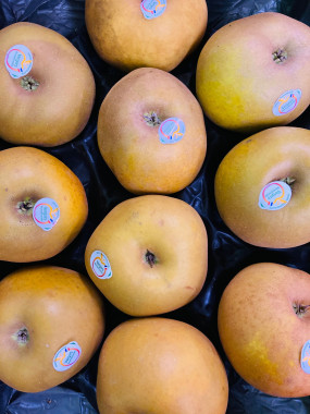 POMME canada grise 2 kilos 6€