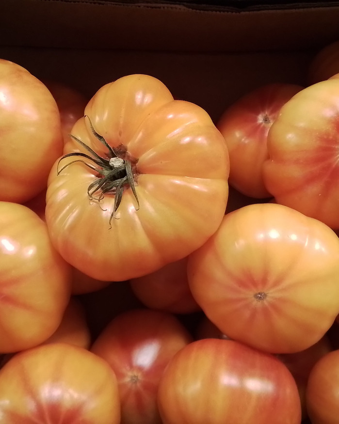 Tomate chezbrigitte-versailles.com 