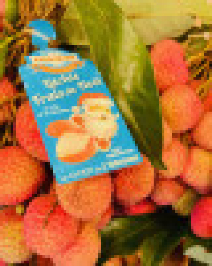 litchis branche en  bouquet