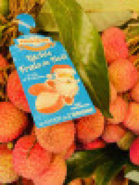 litchis branche en  bouquet