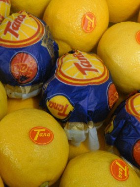 citron jaune