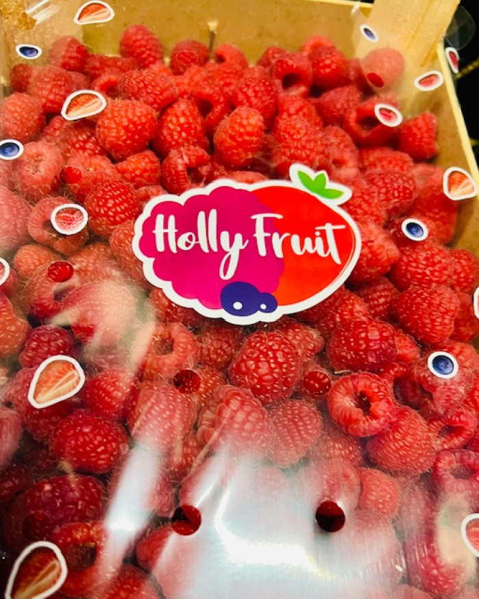 framboise Maroc plateau 1kilo