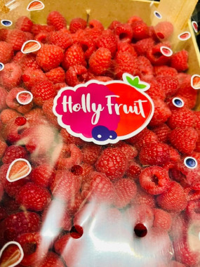 framboise Maroc plateau 1kilo