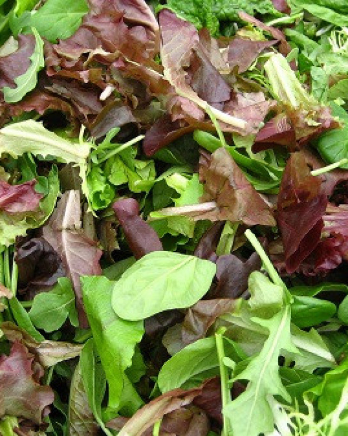 mesclun