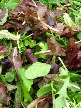 mesclun