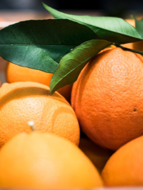 orange de table a feuille 2 kilos 5€