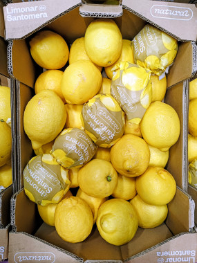 Citron jaune supérieur