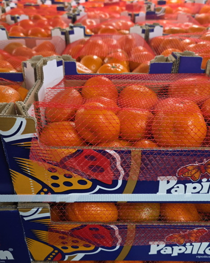 clémentine cagette 2.3kilos 4€