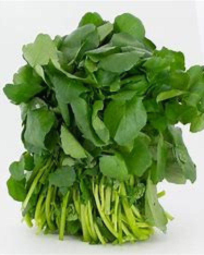 cresson chezbrigitte-versailles.com