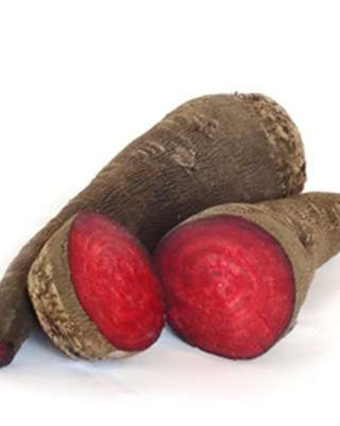 betterave crapaudine chezbrigitte-versailles.com