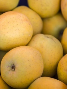 Pomme Goldrush PROMO 2 kg pour 5€ 