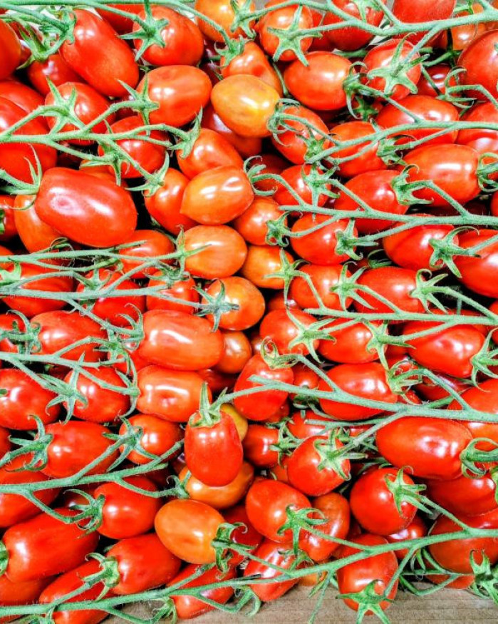 tomate cerisette grappe chezbrigitte-versailles.com