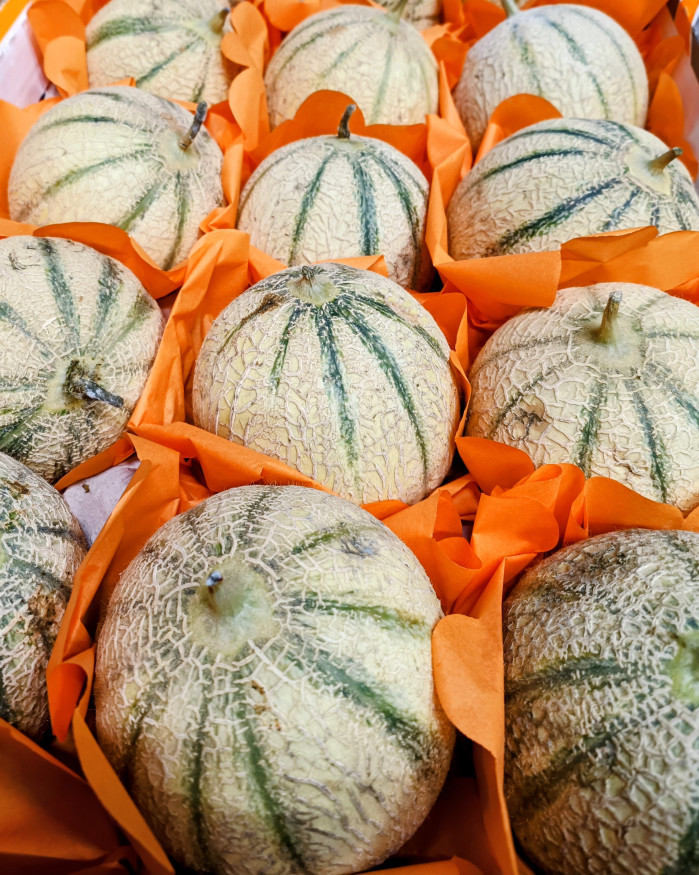 melon chezbrigitte-versailles.com