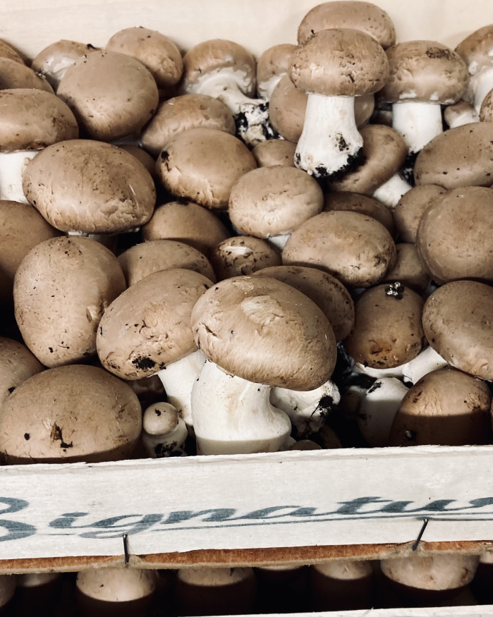 champignon chezbrigitte@versailles.com