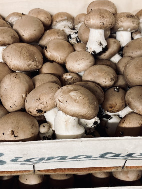 Champignon GROS brun - pieds entier - FRANCE -colis 2.5kg