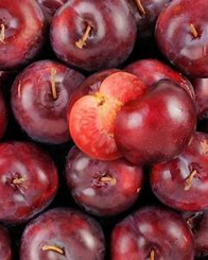 prune rouge chezbrigitte-versailles.com