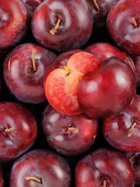 Prune rouge
