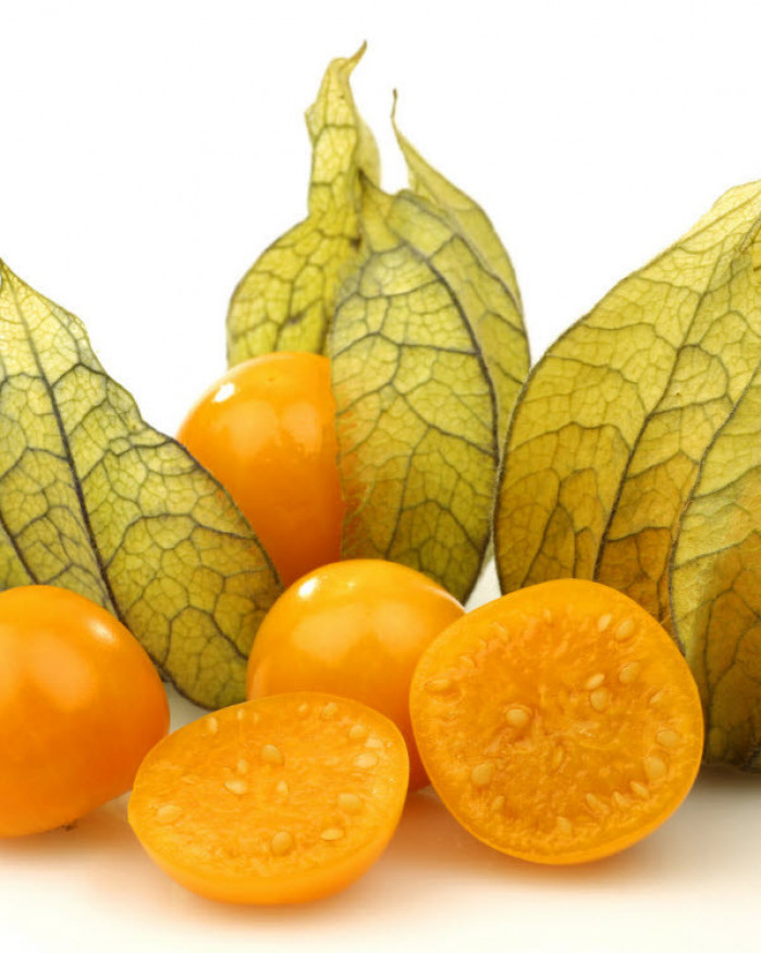 physalis