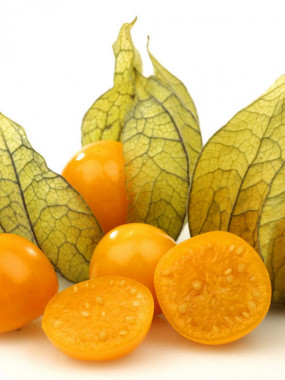 physalis