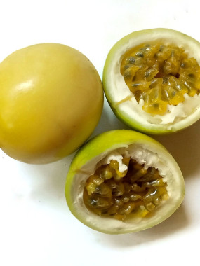 fruits de la passion BLANC 5 pour 5€