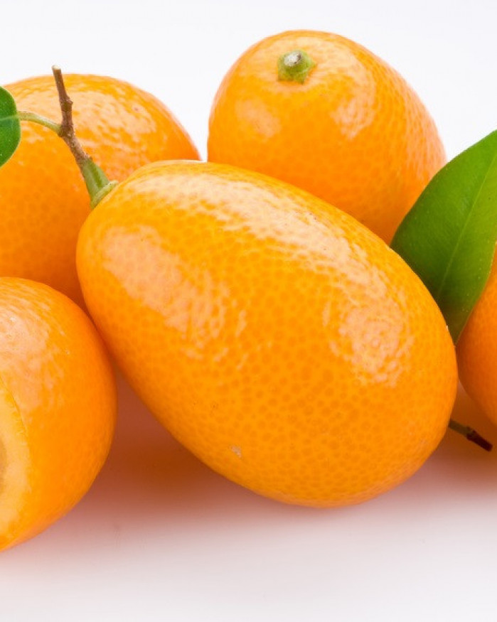 kumquat