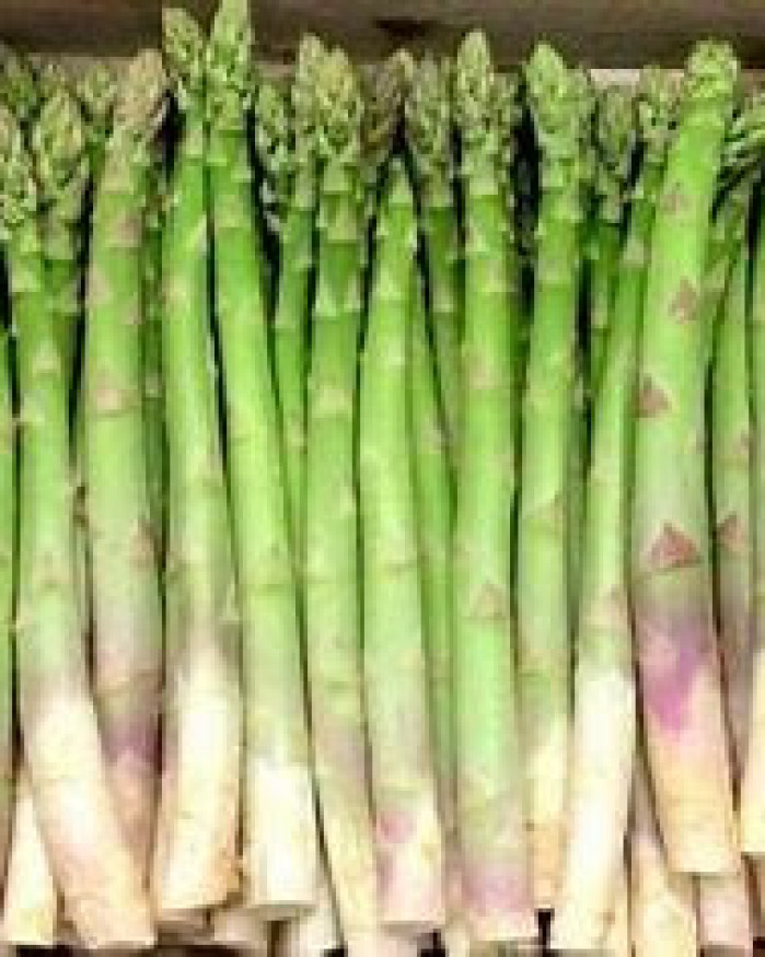 asperge verte chezbrigitte-versailles.com