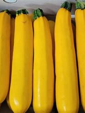 courgette jaune PROMO 2 kilos 5€