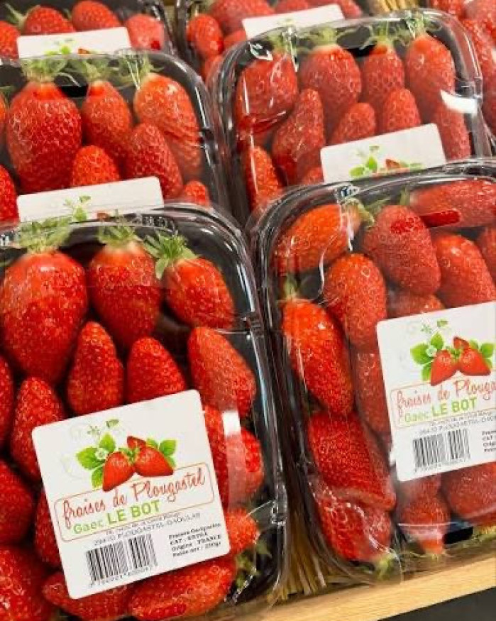 fraise de Plougastel chezbrigitte-versailles.com