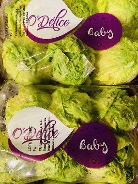 salade sucrine LE COLIS !!!! DE 5 BARQUETTES 