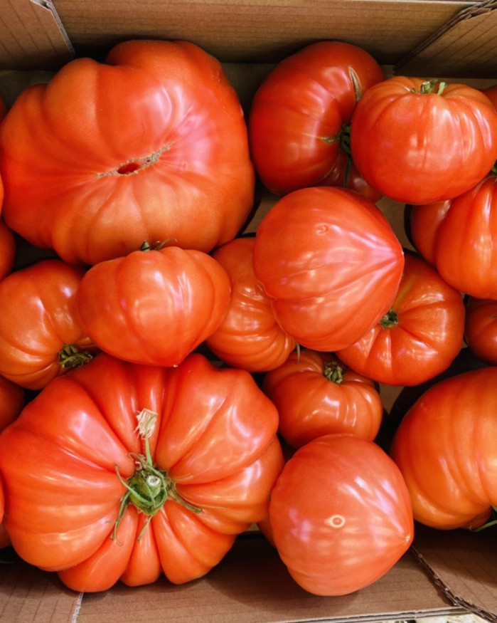 TOMATE CERISE GRAPPE de chez brigitte Versailles