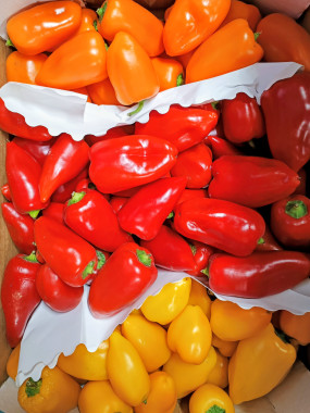 mini poivrons promo 2 kilos 5€