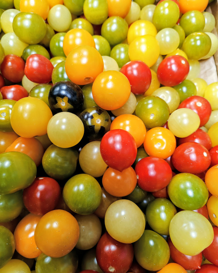 tomate cerise multicolore chezbrigitte-versailles.com