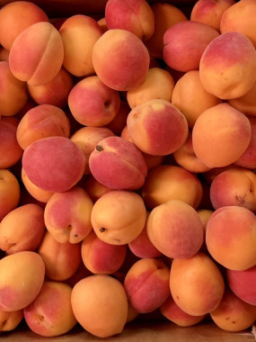 ABRICOT calibre petit le colis de 5 kilos