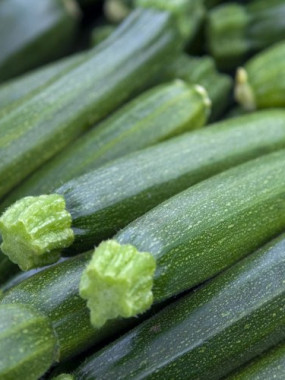 Courgette 2 Kilos pour 5€  