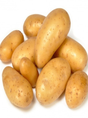 Pomme de terre à chair ferme type CHARLOTTE -HVE - 2 kilos pour 3.5€