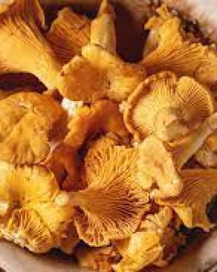 GIROLLE BARQUETTE 500GR PROMO