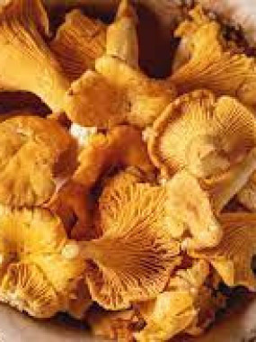 GIROLLE BARQUETTE 500GR PROMO