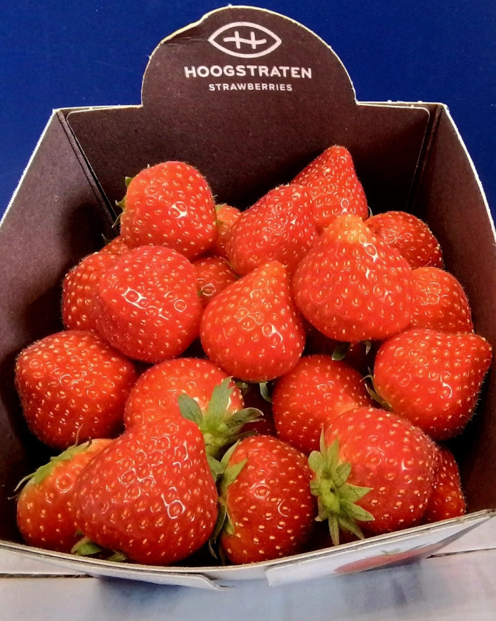 Fraise chezbrigitte-versailles.com 