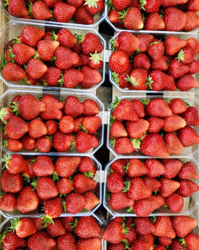 FRAISE 500 GR  2 BARQUETTE 6€ 