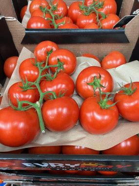 TOMATE GRAPPE  2 kilos 6€