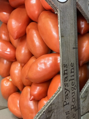 TOMATE SAN MARZANO PROMO 2 KILOS 6€
